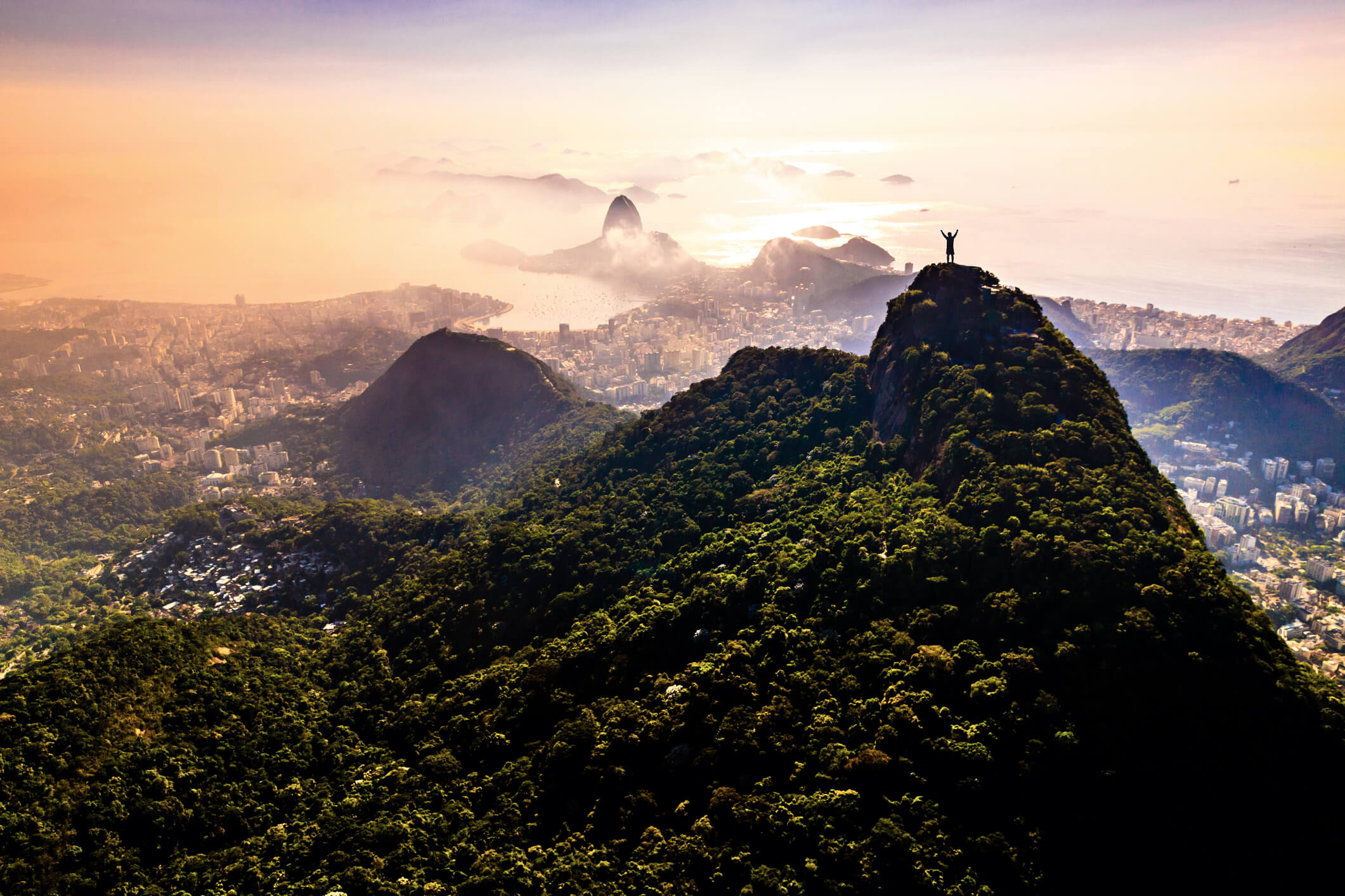 Festival do Rio: entenda mais sua importância!