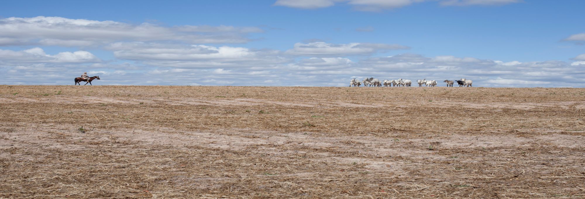 Cineclube AIC recebe o diretor de Querência